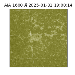 saia - 2025-01-31T19:00:14.126000