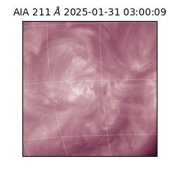 saia - 2025-01-31T03:00:09.626000