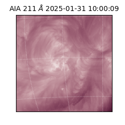 saia - 2025-01-31T10:00:09.626000