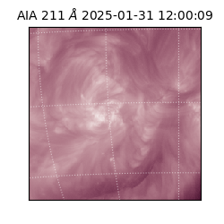 saia - 2025-01-31T12:00:09.618000