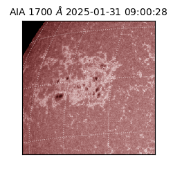 saia - 2025-01-31T09:00:28.720000