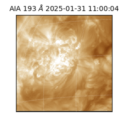 saia - 2025-01-31T11:00:04.843000