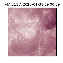 saia - 2025-01-31T09:00:09.626000