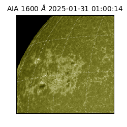saia - 2025-01-31T01:00:14.125000