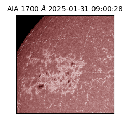 saia - 2025-01-31T09:00:28.720000
