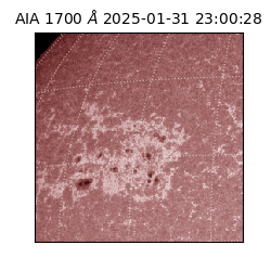 saia - 2025-01-31T23:00:28.717000