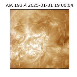 saia - 2025-01-31T19:00:04.843000
