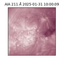 saia - 2025-01-31T10:00:09.626000