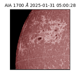 saia - 2025-01-31T05:00:28.721000