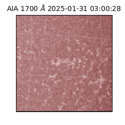 saia - 2025-01-31T03:00:28.721000