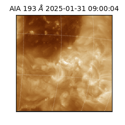 saia - 2025-01-31T09:00:04.843000