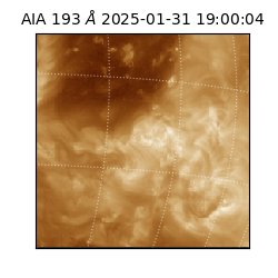 saia - 2025-01-31T19:00:04.843000