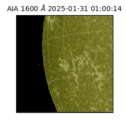 saia - 2025-01-31T01:00:14.125000