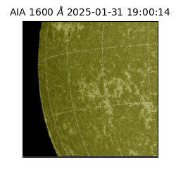 saia - 2025-01-31T19:00:14.126000