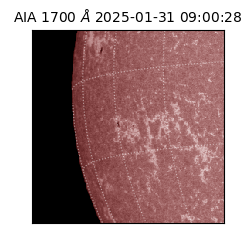saia - 2025-01-31T09:00:28.720000