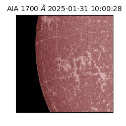 saia - 2025-01-31T10:00:28.717000