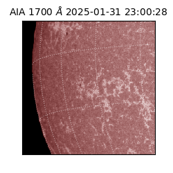 saia - 2025-01-31T23:00:28.717000