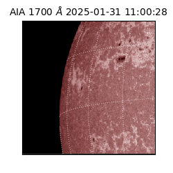 saia - 2025-01-31T11:00:28.720000