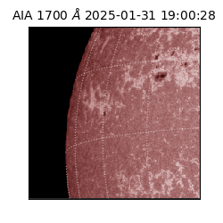saia - 2025-01-31T19:00:28.745000