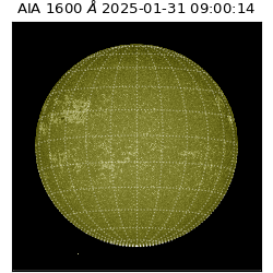 saia - 2025-01-31T09:00:14.126000
