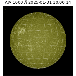saia - 2025-01-31T10:00:14.125000