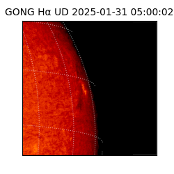 gong - 2025-01-31T05:00:02