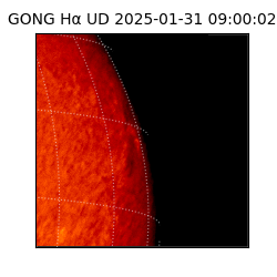 gong - 2025-01-31T09:00:02
