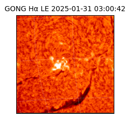 gong - 2025-01-31T03:00:42