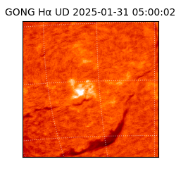 gong - 2025-01-31T05:00:02