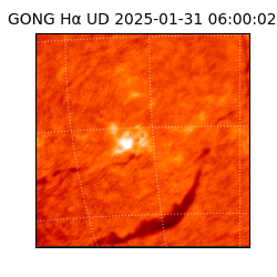 gong - 2025-01-31T06:00:02