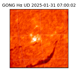 gong - 2025-01-31T07:00:02