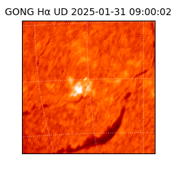 gong - 2025-01-31T09:00:02