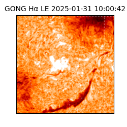 gong - 2025-01-31T10:00:42