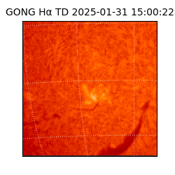 gong - 2025-01-31T15:00:22