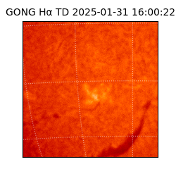 gong - 2025-01-31T16:00:22