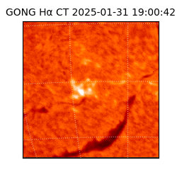 gong - 2025-01-31T19:00:42