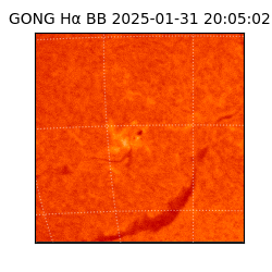 gong - 2025-01-31T20:05:02