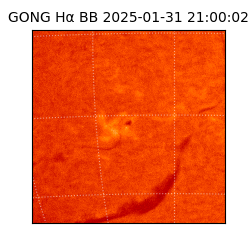 gong - 2025-01-31T21:00:02
