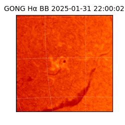 gong - 2025-01-31T22:00:02