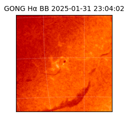 gong - 2025-01-31T23:04:02