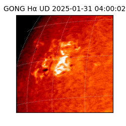 gong - 2025-01-31T04:00:02