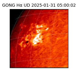 gong - 2025-01-31T05:00:02