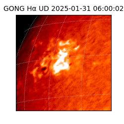 gong - 2025-01-31T06:00:02