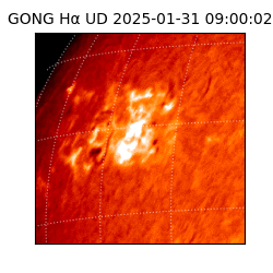 gong - 2025-01-31T09:00:02