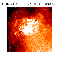 gong - 2025-01-31T10:00:42