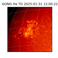 gong - 2025-01-31T12:00:22