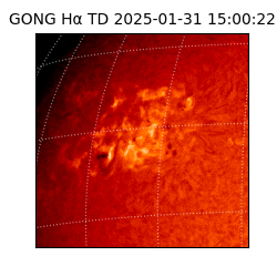 gong - 2025-01-31T15:00:22