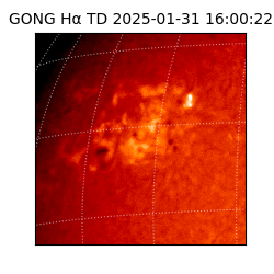 gong - 2025-01-31T16:00:22