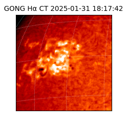 gong - 2025-01-31T18:17:42