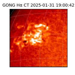 gong - 2025-01-31T19:00:42